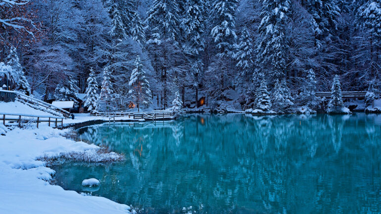 Lac avec des sapins enneigés en arrière et un petit quai à la droite